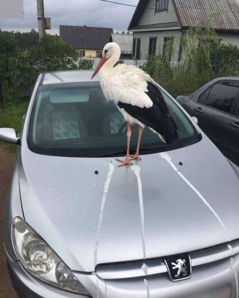 Daily Picdump [WEEKEND EDITION]