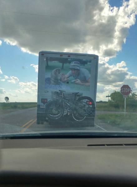 daily picdump weekend edition 62 pics 4.html - 62 HD Photos | Premium Gallery 2016