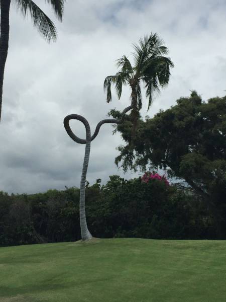 daily picdump weekend edition 62 pics 4.html - 62 HD Photos | Premium Gallery 2016