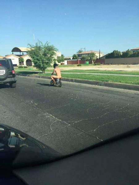 daily picdump weekend edition 62 pics 4.html - 62 HD Photos | Premium Gallery 2016