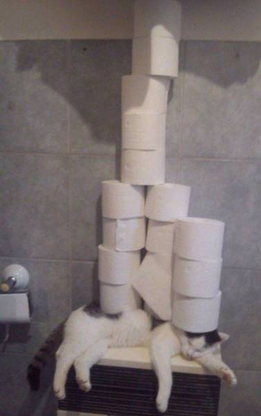 daily picdump weekend edition 62 pics 4.html - 62 HD Photos | Premium Gallery 2016