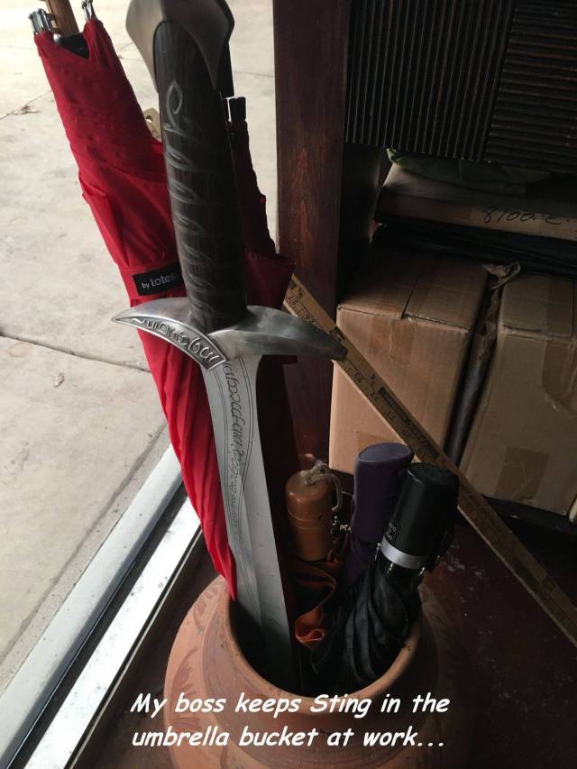 Daily Picdump [WEEKEND EDITION]