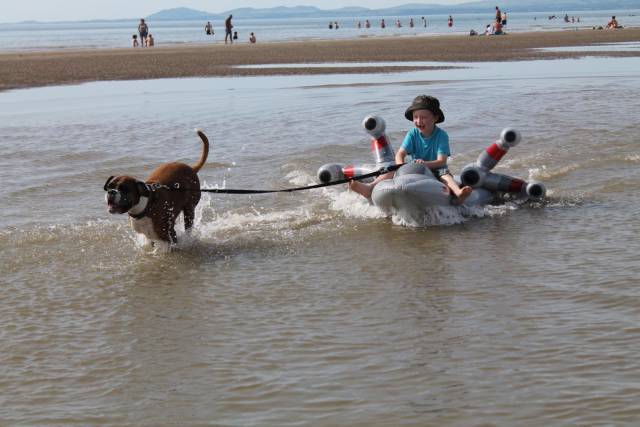 daily picdump 103 pics 33.html - 103 HD Photos | Premium Gallery 2016