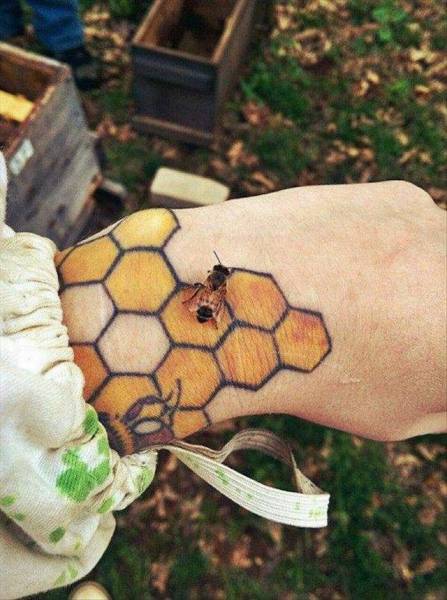 daily picdump 103 pics 33.html - 103 HD Photos | Premium Gallery 2016