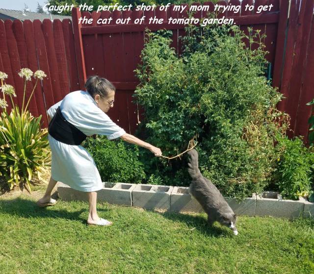 daily picdump 103 pics 33.html - 103 HD Photos | Premium Gallery 2016