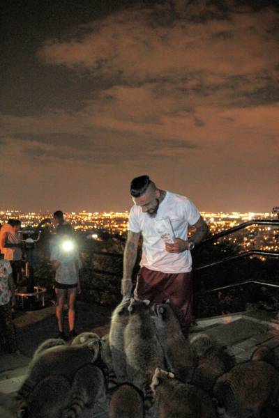 morning picdump 50 pics 6.html - 50 HD Photos | Premium Gallery 2016