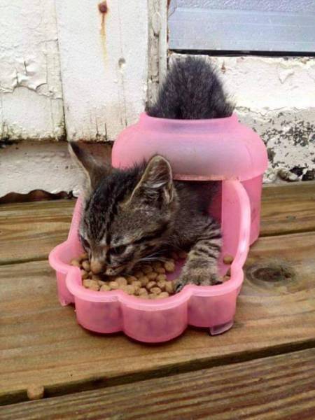 daily picdump 96 pics 3.html - 96 HD Photos | Premium Gallery 2016