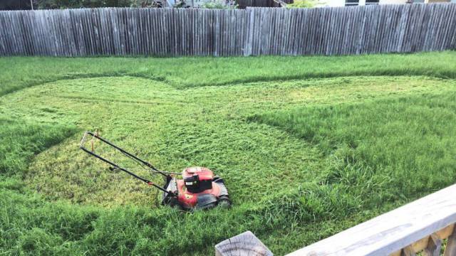 daily picdump 96 pics 3.html - 96 HD Photos | Premium Gallery 2016