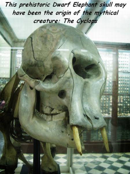 daily picdump 96 pics 3.html - 96 HD Photos | Premium Gallery 2016