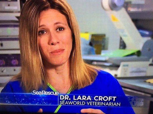 daily picdump 96 pics 3.html - 96 HD Photos | Premium Gallery 2016