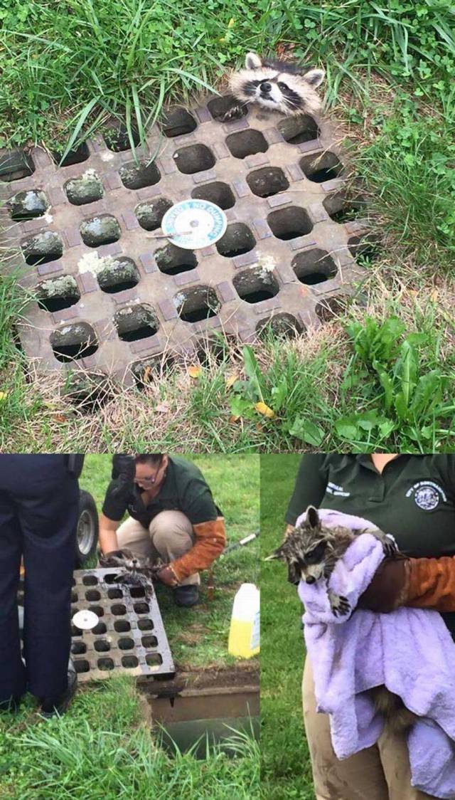 daily picdump 96 pics 3.html - 96 HD Photos | Premium Gallery 2016