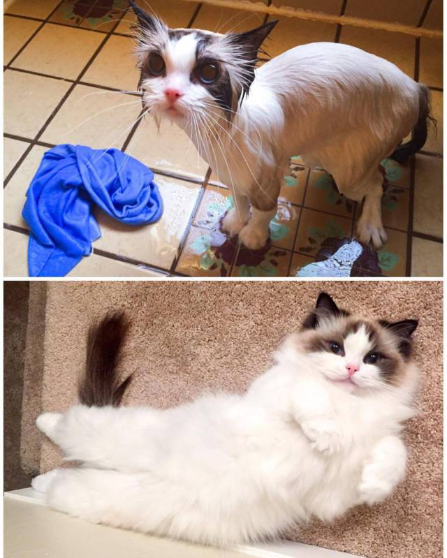 morning picdump 52 pics 23.html - 52 HD Photos | Premium Gallery 2016