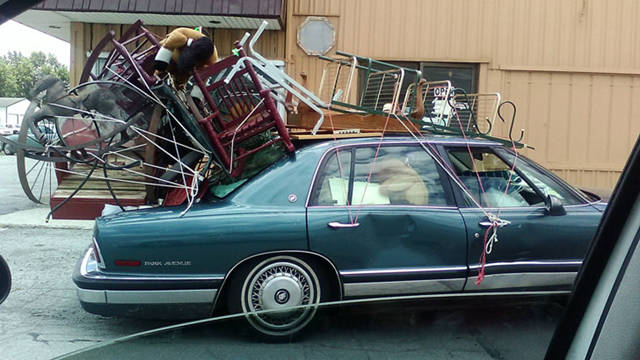 Sometimes the Only Question is WTF?