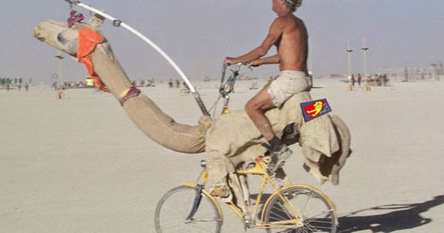 Sometimes the Only Question is WTF?