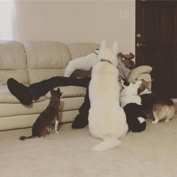 daily picdump 100 pics 39.html - 100 HD Photos | Premium Gallery 2016