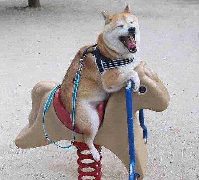 daily picdump 100 pics 39.html - 100 HD Photos | Premium Gallery 2016