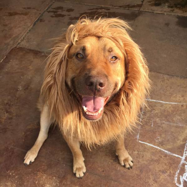 daily picdump 100 pics 39.html - 100 HD Photos | Premium Gallery 2016