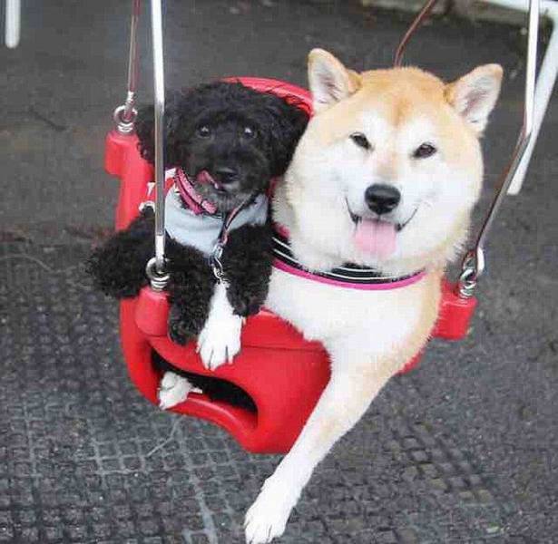 daily picdump 100 pics 39.html - 100 HD Photos | Premium Gallery 2016