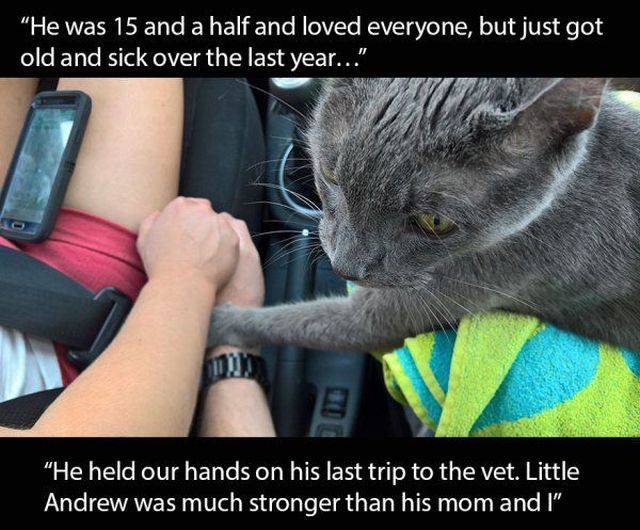 daily picdump 100 pics 39.html - 100 HD Photos | Premium Gallery 2016