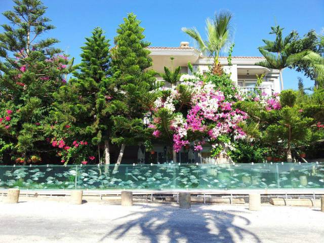 daily picdump 100 pics 39.html - 100 HD Photos | Premium Gallery 2016