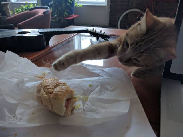 daily picdump 100 pics 39.html - 100 HD Photos | Premium Gallery 2016