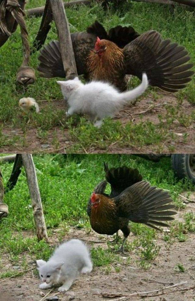 daily picdump 100 pics 39.html - 100 HD Photos | Premium Gallery 2016