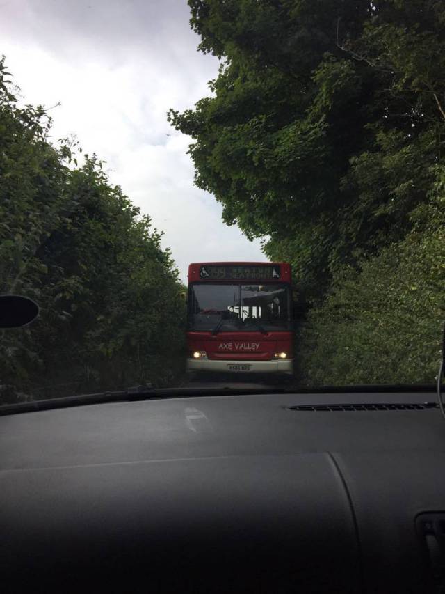 daily picdump 100 pics 39.html - 100 HD Photos | Premium Gallery 2016