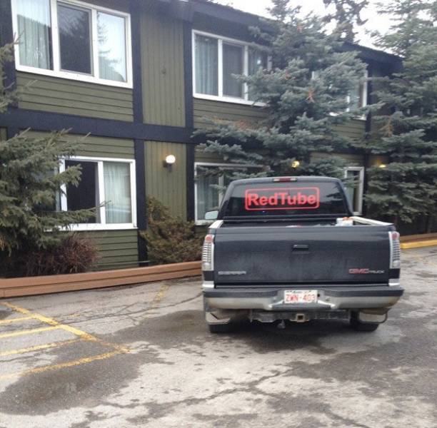 Some People Lack Both Brains and Morals