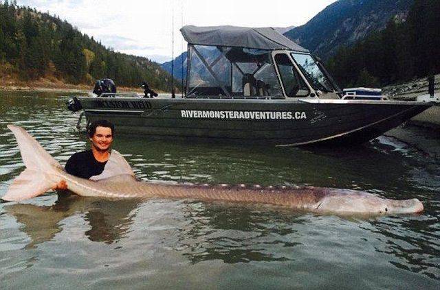 daily picdump 100 pics 42.html - 100 HD Photos | Premium Gallery 2016