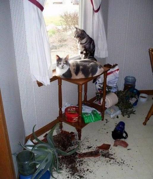 daily picdump 100 pics 42.html - 100 HD Photos | Premium Gallery 2016