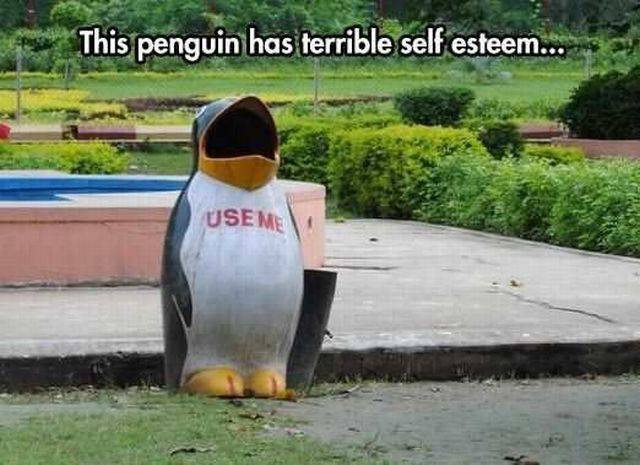 daily picdump 100 pics 42.html - 100 HD Photos | Premium Gallery 2016