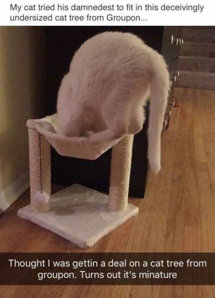 daily picdump 100 pics 42.html - 100 HD Photos | Premium Gallery 2016