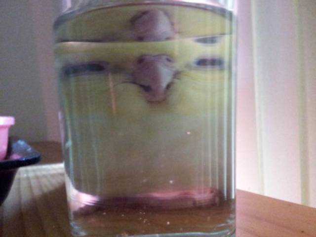 morning picdump 50 pics 15.html - 50 HD Photos | Premium Gallery 2016