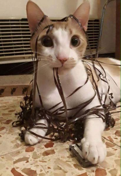 morning picdump 50 pics 15.html - 50 HD Photos | Premium Gallery 2016