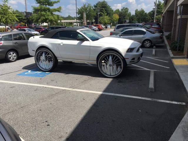 Daily Picdump [WEEKEND EDITION]