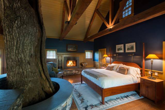 Daily Picdump [WEEKEND EDITION]