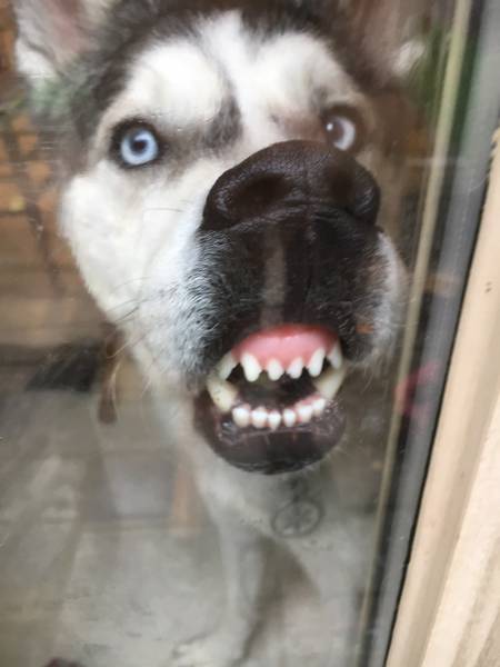 daily picdump weekend edition 53 pics 17.html - 53 HD Photos | Premium Gallery 2016