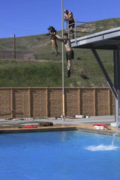 daily picdump 100 pics 45.html - 100 HD Photos | Premium Gallery 2016