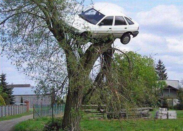 daily picdump 100 pics 45.html - 100 HD Photos | Premium Gallery 2016