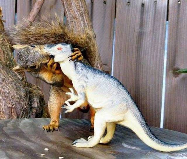 daily picdump 100 pics 45.html - 100 HD Photos | Premium Gallery 2016