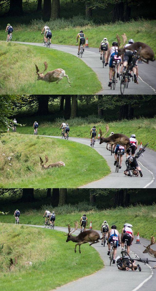 daily picdump 100 pics 45.html - 100 HD Photos | Premium Gallery 2016