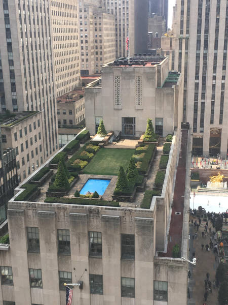 morning picdump 52 pics 8.html - 52 HD Photos | Premium Gallery 2016