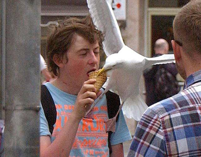 morning picdump 52 pics 8.html - 52 HD Photos | Premium Gallery 2016