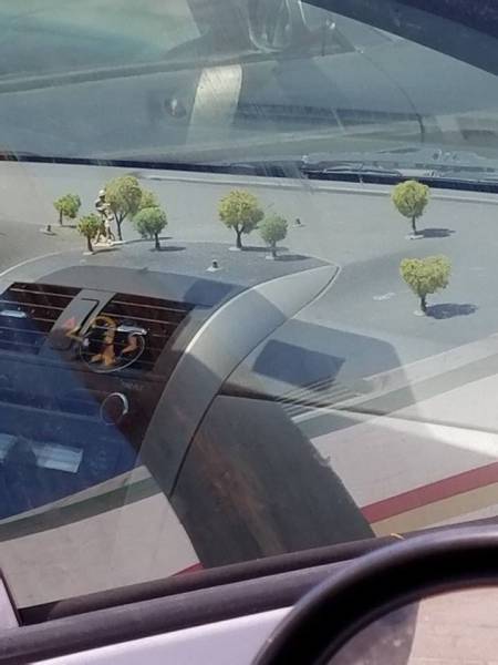 morning picdump 52 pics 8.html - 52 HD Photos | Premium Gallery 2016