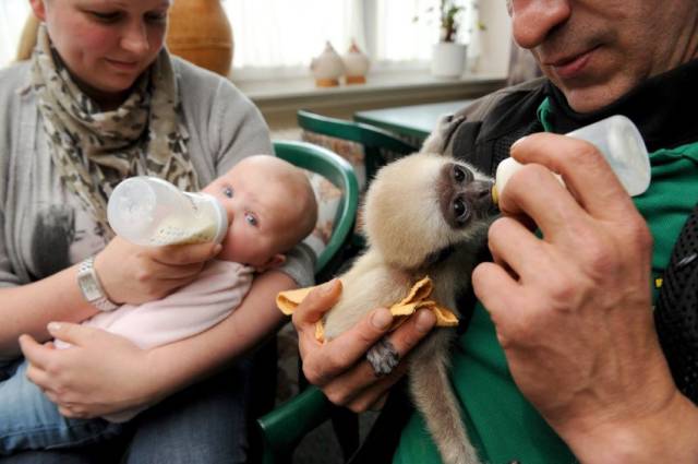 daily picdump 99 pics 24.html - 99 HD Photos | Premium Gallery 2016