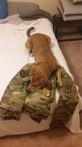 daily picdump 99 pics 24.html - 99 HD Photos | Premium Gallery 2016