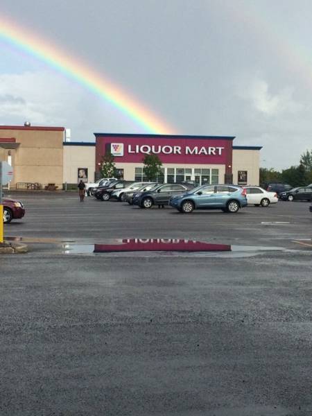 daily picdump 99 pics 24.html - 99 HD Photos | Premium Gallery 2016