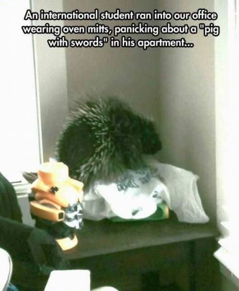 daily picdump 99 pics 24.html - 99 HD Photos | Premium Gallery 2016