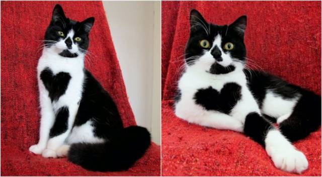 daily picdump 99 pics 24.html - 99 HD Photos | Premium Gallery 2016