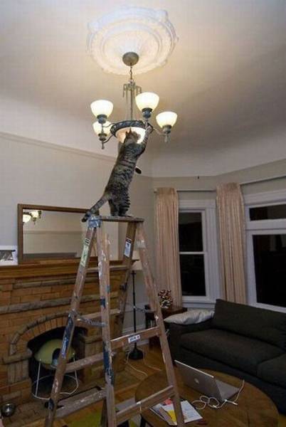 daily picdump 99 pics 24.html - 99 HD Photos | Premium Gallery 2016